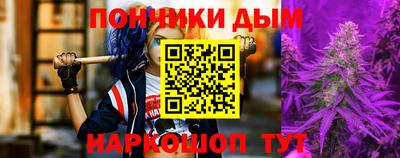 крисы Кингисепп