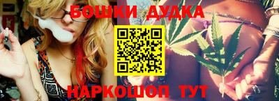 крисы Кингисепп
