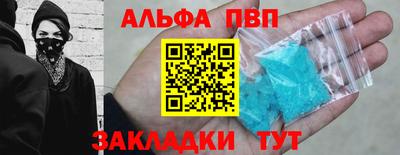 крисы Кингисепп