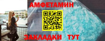крисы Кингисепп